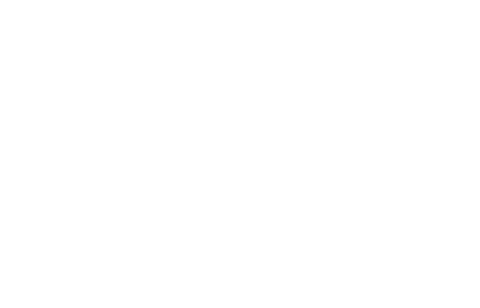 NEXUS V